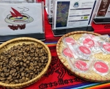 Tổng hợp thị trường cà phê tuần từ 14 đến 18/10/2024