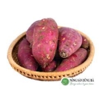 Khoai lang giống Nhật Đà Lạt – Loại 1kg